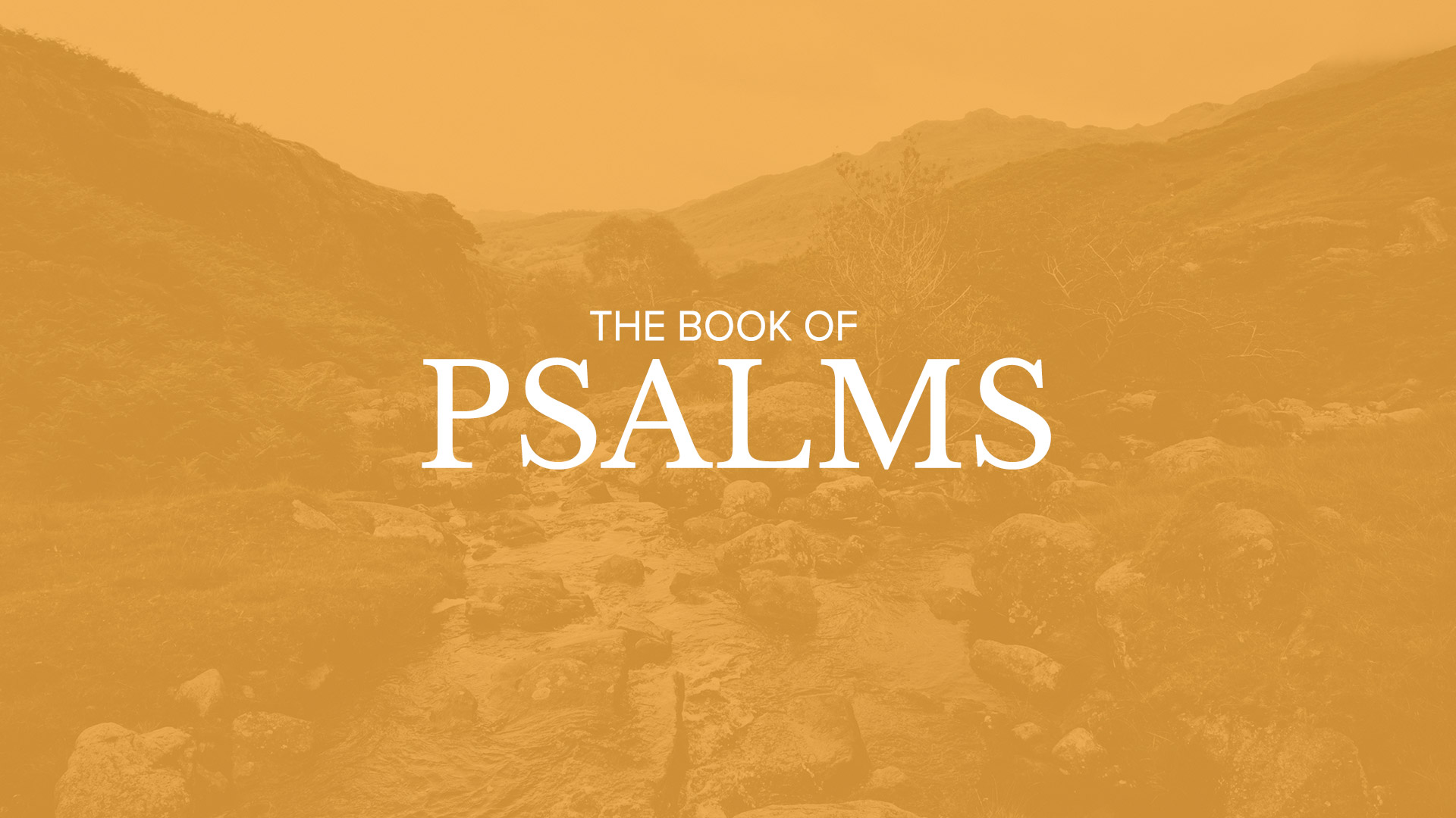 Bible Book Summary Psalms Sermonary