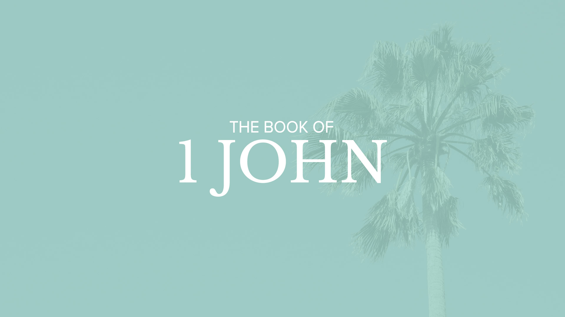 Bible Book Summary 1 John Sermonary